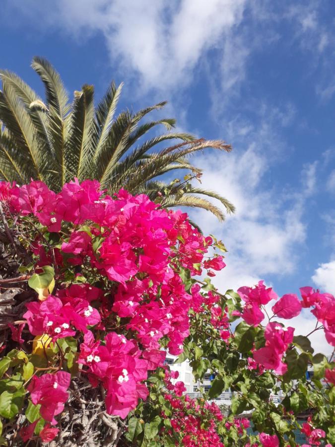 דירות מספאלומס Taidia Tropical מראה חיצוני תמונה